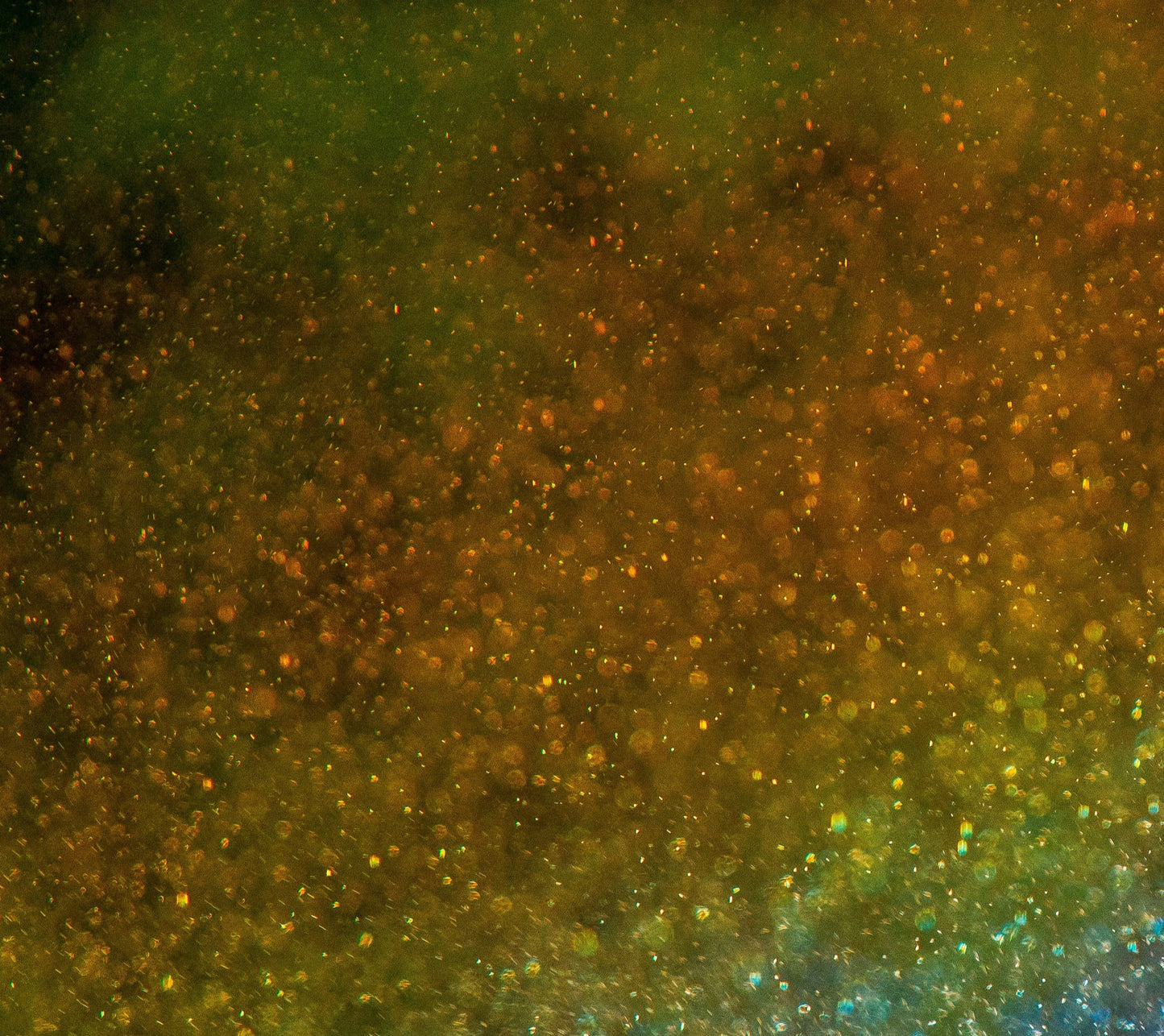 The Rainbow Connection