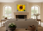 Sunflower (The Maddie Collection)