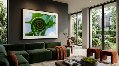 Fern Spiral