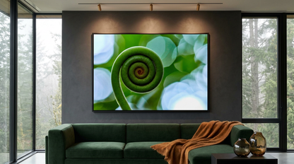 Fern Spiral