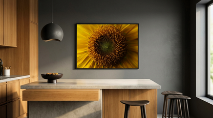 Fibonacci Study 01